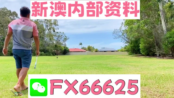 王中王一碼二肖，揭秘背后的秘密，揭秘王中王一碼二肖背后的秘密
