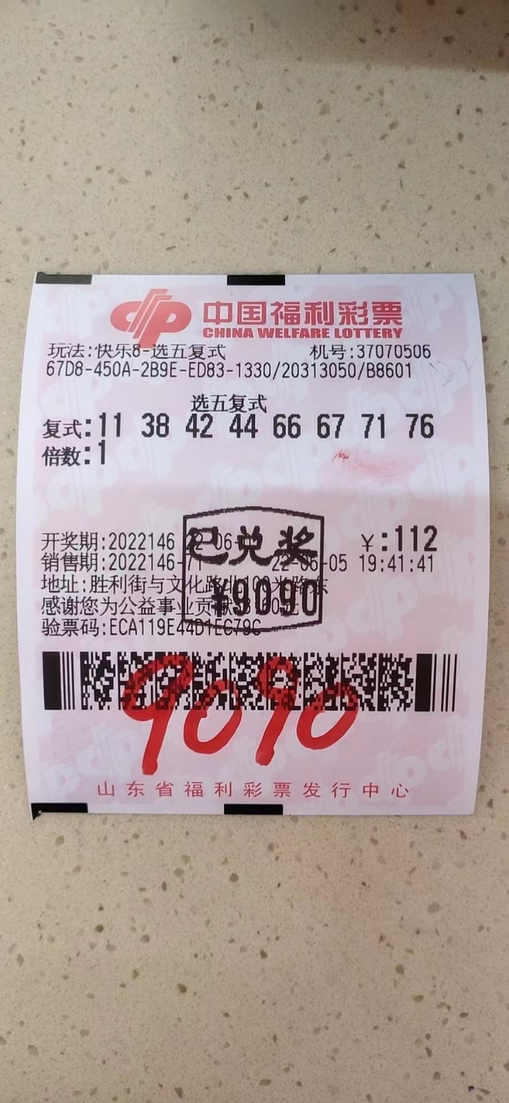 揭秘002期王中王平特一肖，背后的故事與奧秘，揭秘王中王平特一肖背后的故事與奧秘（第002期）