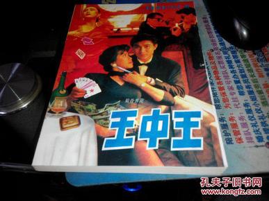 王中王資料一肖中特小說，深度解析與探索，王中王資料一肖中特小說的深度解析與探索之旅