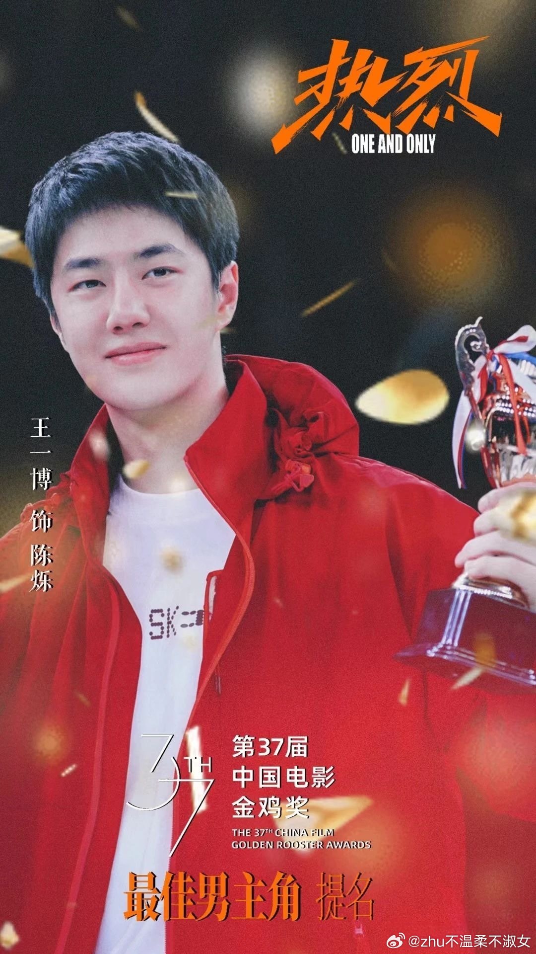 王中王一肖一特一中一中，探尋背后的故事與奧秘，探尋王中王一肖背后的故事與奧秘