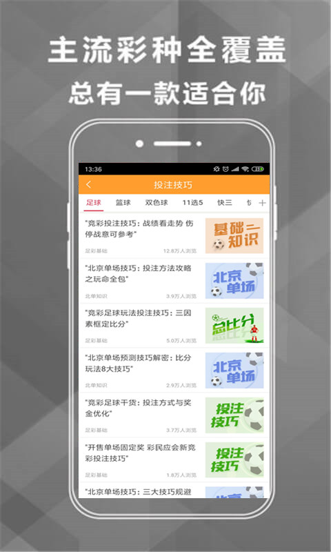 王中王493333中特馬網(wǎng)站——探索彩票樂趣的首選平臺(tái)，王中王493333中特馬網(wǎng)站，彩票樂趣的首選探索平臺(tái)