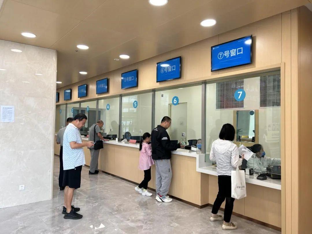 新門內(nèi)部資料免費(fèi)下載——探索與揭秘，新門內(nèi)部資料揭秘，免費(fèi)下載與探索之旅