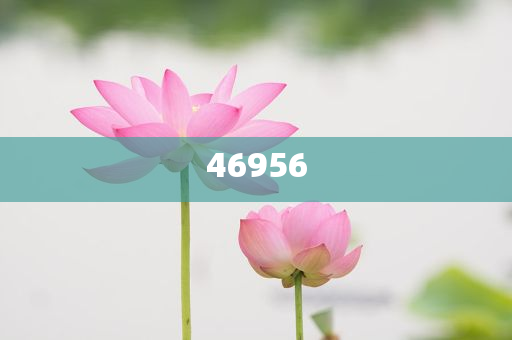 新奧集團，邁向2025，天天開好彩的愿景與挑戰(zhàn)，新奧集團邁向2025，實現天天開好彩的愿景與挑戰(zhàn)