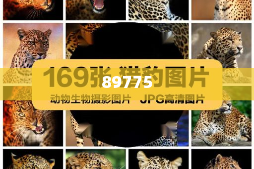 關(guān)于新奧歷史開獎記錄的最新信息，今天公布了嗎？，新奧歷史開獎記錄最新信息公布了嗎？