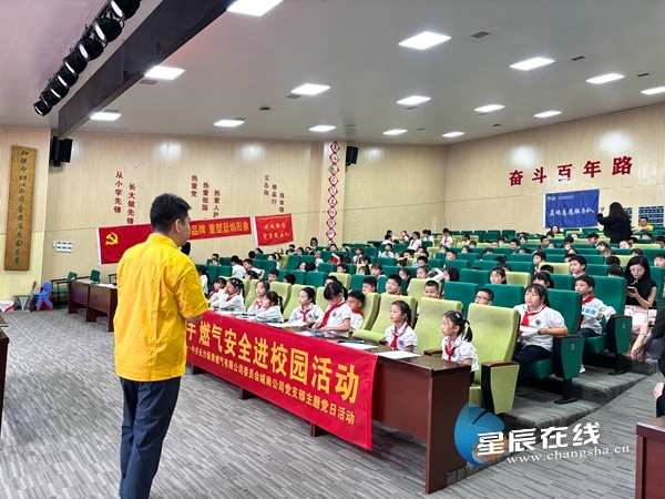 新奧49正版資料，探索與解析，新奧49正版資料深度探索與解析
