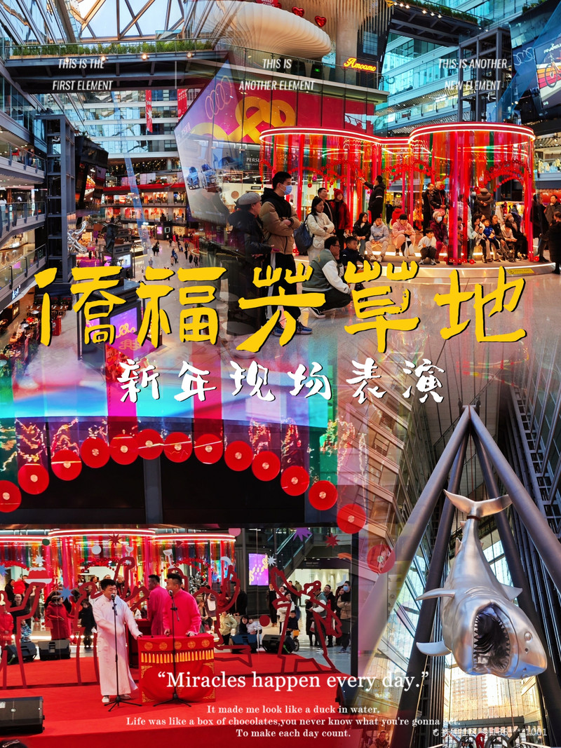 最新揭秘，2024新澳芳草地全方位資料詳解，揭秘2024新澳芳草地全方位資料，最新詳解